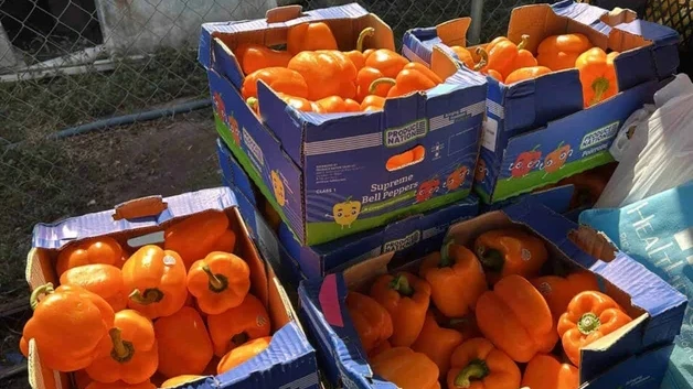 Entregan alimentos en comunidad vulnerable