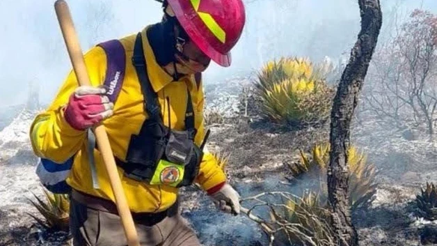 Arde la Sierra de Tamaulipas