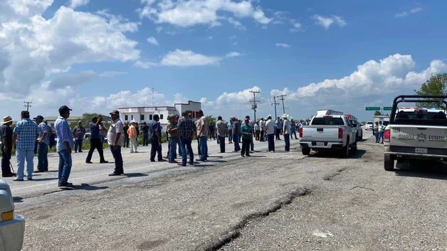 En riesgo, mitad del sorgo de Tamaulipas