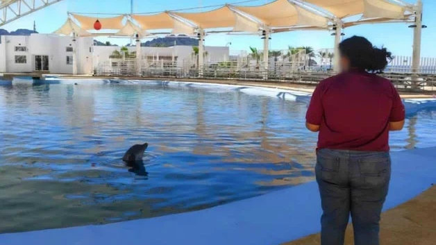 Profepa visita Delfinario Sonora tras muerte del ejemplar