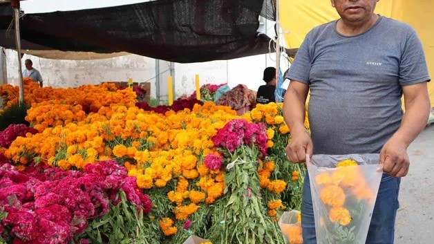 Llega desde Puebla flor de cempasuchil
