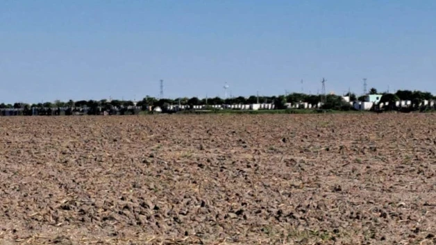 En riesgo, 75% de la siembra de temporal