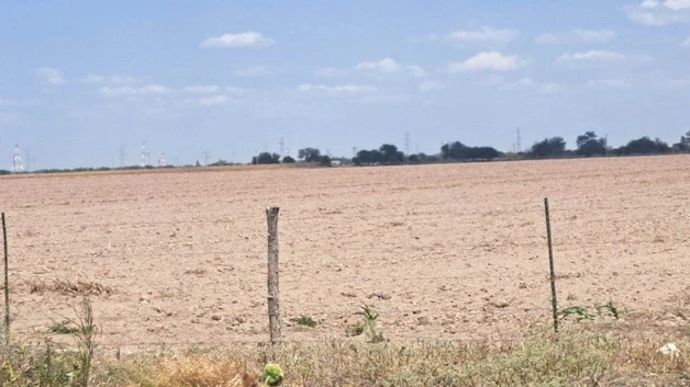 Sin lluvias se frenan siembras