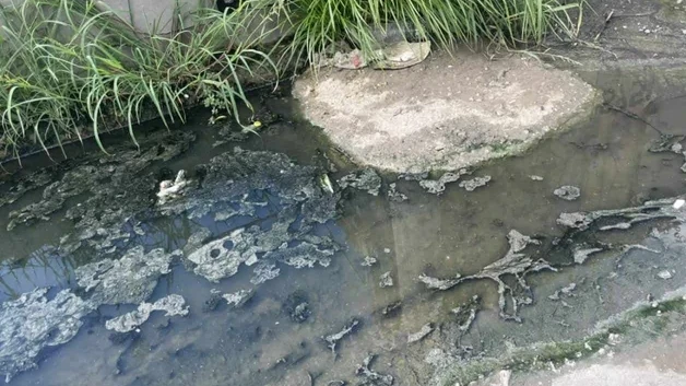 Fugas de aguas negras provocan insalubridad en Reynosa