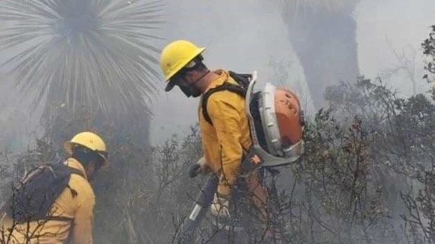 Arden sierras en Tamaulipas