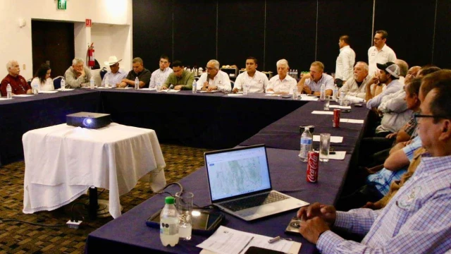 Refuerzan México y EU acciones contra el picudo del algodón