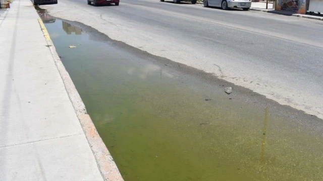 Aguas negras ahogan comercios en colonia