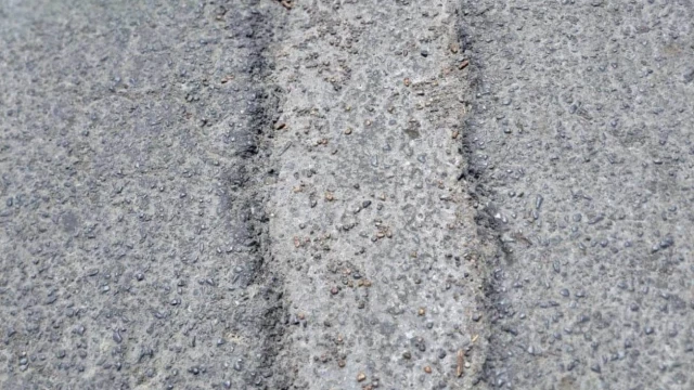 En el olvido la "calle del taco"; luce con baches y basura