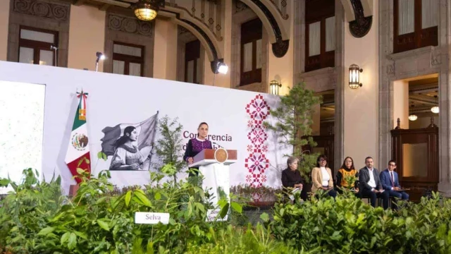 Anuncian Jornada Nacional de Reforestación