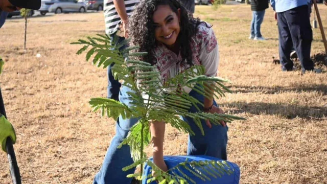 Senadora Sosa planta árboles en Matamoros
