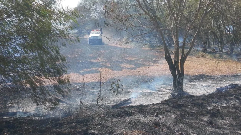 Incendios arrasan más de mil 500 hectáreas