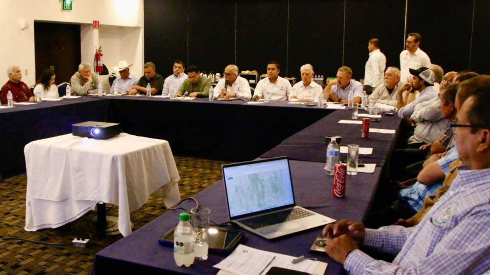 Refuerzan México y EU acciones contra el picudo del algodón