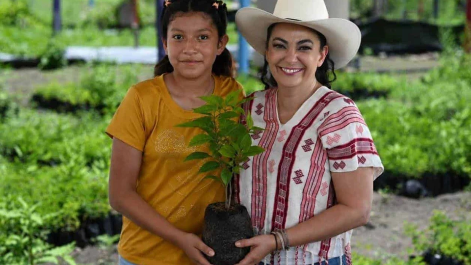 Va el Senado por relevo en el campo