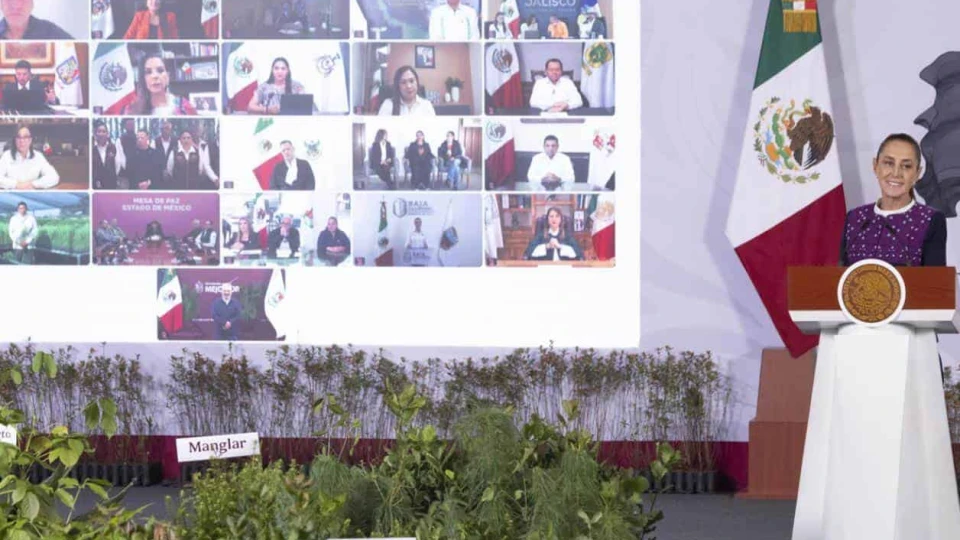 Convoca Sheinbaum a reforestar México