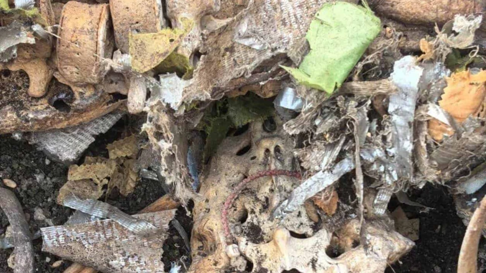 Encuentran osamenta en tumba clandestina