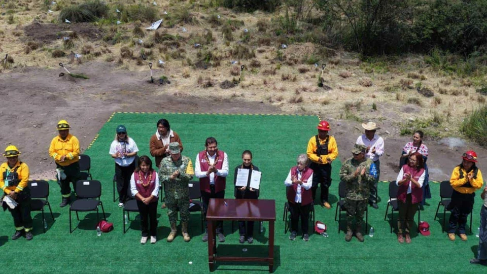 Sheinbaum exhorta a reforestar México