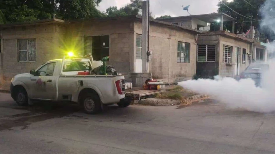 Intensificará Tampico acciones contra el dengue