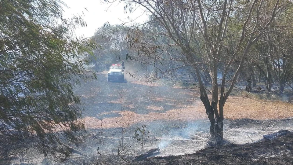 Incendios ponen en jaque a cuerpos de emergencias