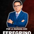 Feregrino