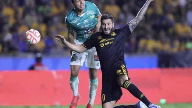 Duelo de fieras