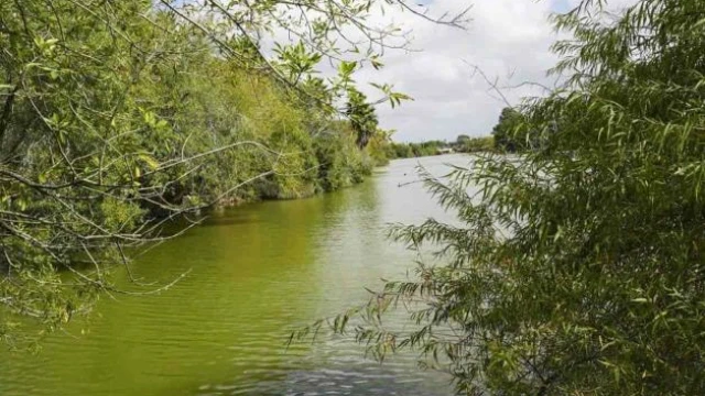 Desarrollan energía y agua