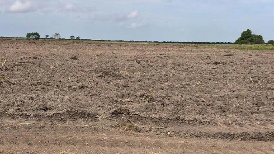 Agricultores en riesgo de perder sus tierras