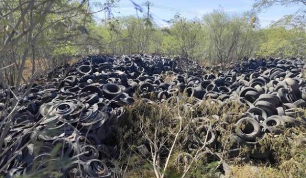 Preparan sanciones por tiradero de neumáticos