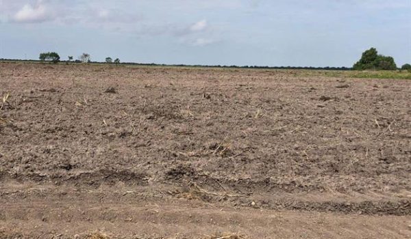 Agricultores en riesgo de perder sus tierras