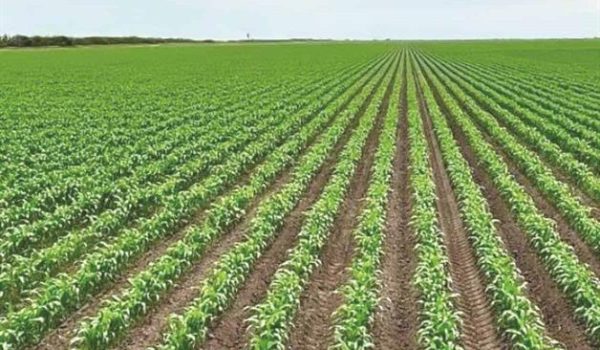 ´Acuerdo hídrico no afecta a campesinos´