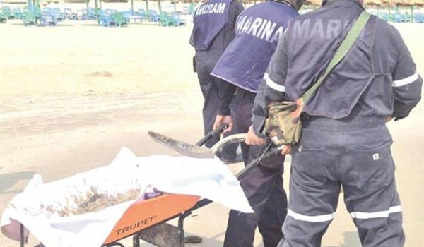 Activan vigilancia en el sur por derrame