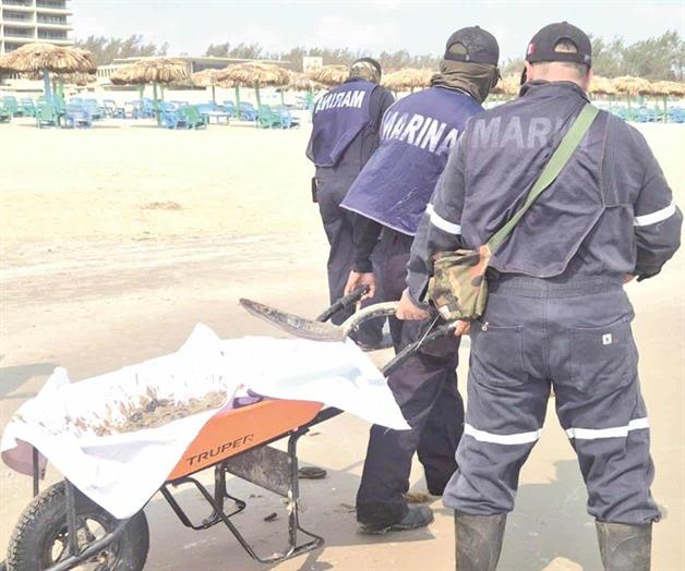 Implementan acciones preventivas ante el riesgo de que manchas de hidrocarburo puedan arribar a la costa, señala el secretario de la SEDUMA