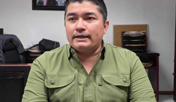 Dejan solo al sur ante plaga