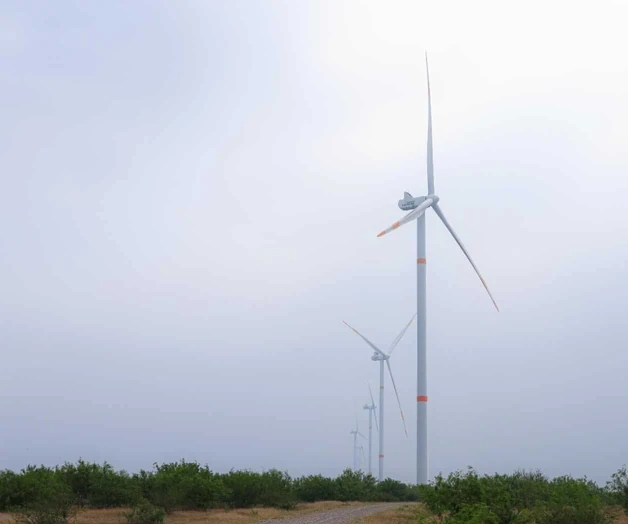 La Secretaría de Desarrollo Energético descartó que los cortes de luz se deban a fallas generalizadas de la CFE y los atribuyó a daños provocados por lluvias