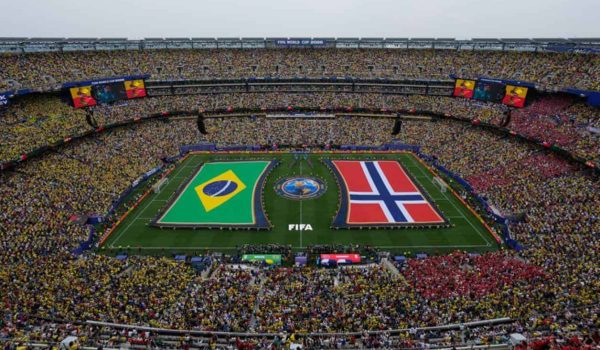 FIFA vende el césped de la final del Mundial, en trozos de 450 dólares